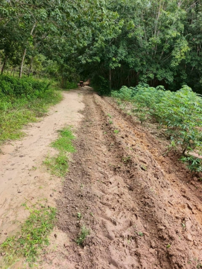 วันที่ 8 กันยายน 2568 ดร.คุณากร อักษรพรมราช นายกองค์การบริหารส่วนตำบลโพนงาม มอบหมายให้เจ้าหน้าที่องค์การบริหารส่วนตำบลโพนงาม ลงพื้นที่ซ่อมแซมและปรับปรุงถนนบ้านโนนแถลง หมู่ที่ 14