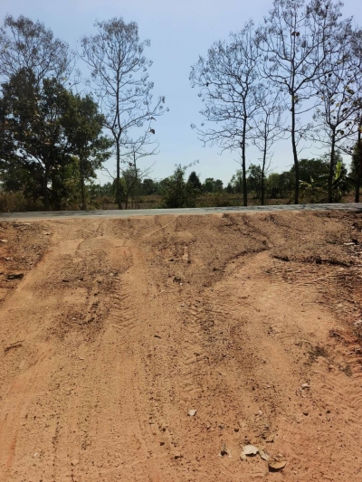 วันที่ 10 กุมภาพันธ์ 2569 เจ้าหน้าที่องค์การบริหารส่วนตำบลโพนงาม ลงพื้นที่ซ่อมแซมและปรับปรุงถนนภายในบ้านหนองแสง หมู่ 7 โดยใช้รถไถฟาร์มแทรกเตอร์แก้ไขปัญหาถนนชำรุด เป็นหลุม เป็นบ่อ เพื่อช่วยบรรเทาความเดือดร้อนให้กับประชาชนในพื้นที่