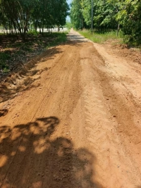 วันที่ 2 พฤษภาคม 2568 ดร.คุณากร อักษรพรมราช นายกองค์การบริหารส่วนตำบลโพนงาม มอบหมายให้เจ้าหน้าที่องค์การบริหารส่วนตำบลโพนงาม ลงพื้นที่ซ่อมแซมปรับปรุงถนนและขยายไหล่ทางบ้านเจริญพัฒนา หมู่ที่ 11 โดยใช้รถไถฟาร์มแทรกเตอร์แก้ไขปัญหาถนนชำรุด