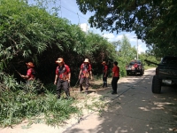 วันที่ 22 สิงหาคม 2568 ดร.คุณากร อักษรพรมราช นายกองค์การบริหารส่วนตำบลโพนงาม มอบหมายให้เจ้าหน้าที่จากองค์การบริหารส่วนตำบลโพนงามลงพื้นที่ปรับปรุงภูมิทัศน์บริเวณริมถนน บ้านป่าสน หมู่ 5