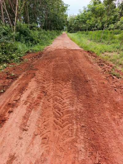 วันที่ 15 สิงหาคม 2568 ดร.คุณากร อักษรพรมราช นายกองค์การบริหารส่วนตำบลโพนงาม มอบหมายให้เจ้าหน้าที่องค์การบริหารส่วนตำบลโพนงาม ลงพื้นที่ซ่อมแซมและปรับปรุงถนนบ้านหลักป้าย หมู่ที่ 6