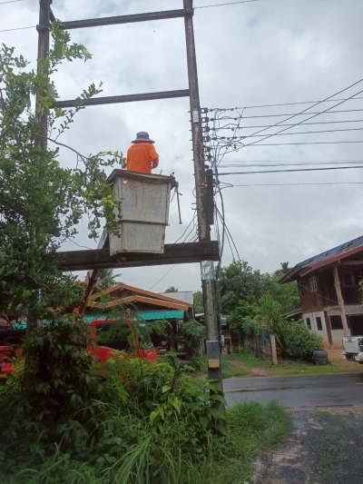 วันที่ 27 มิถุนายน 2568 ดร.คุณากร อักษรพรมราช นายกองค์การบริหารส่วนตำบลโพนงาม มอบหมายให้เจ้าหน้าที่จากองค์การบริหารส่วนตำบลโพนงาม ลงพื้นที่ซ่อมแซมไฟฟ้าส่องสว่างภายในบ้านป่าสน หมู่ 5 และบ้านคำอุดม หมู่ 13 เพื่อแก้ไขปัญหาให้กับคนในชุมชน