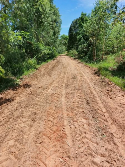 วันที่ 29 กรกฎาคม 2568 ดร.คุณากร อักษรพรมราช นายกองค์การบริหารส่วนตำบลโพนงาม มอบหมายให้เจ้าหน้าที่องค์การบริหารส่วนตำบลโพนงาม ลงพื้นที่ซ่อมแซมปรับปรุงถนนบ้านหลักป้าย หมู่ที่ 6