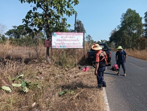 วันที่ 5 กุมภาพันธ์ 2569 เจ้าหน้าที่จากองค์การบริหารส่วนตำบลโพนงามลงพื้นที่ดำเนินการปรับปรุงภูมิทัศน์บริเวณสองฝั่งริมถนนในเขตตำบลโพนงาม โดยการตัดแต่งกิ่งไม้และตัดหญ้า ริมถนน เพื่อลดความเสี่ยงที่จะเกิดอุบัติเหตุต่อชีวิตและทรัพย์สิน